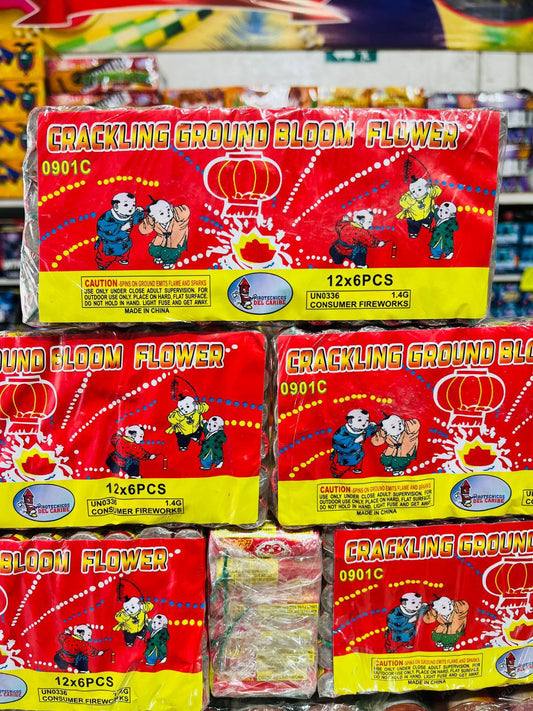 Rosita PDC (Display 72 unidades)